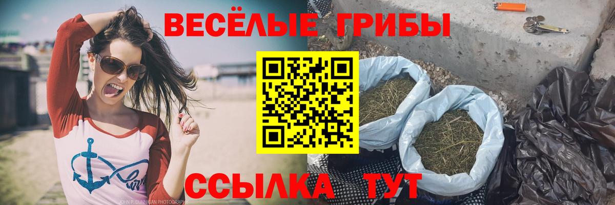 Псилоцибиновые грибы Cubensis  Вход с VPN  Обнинск 